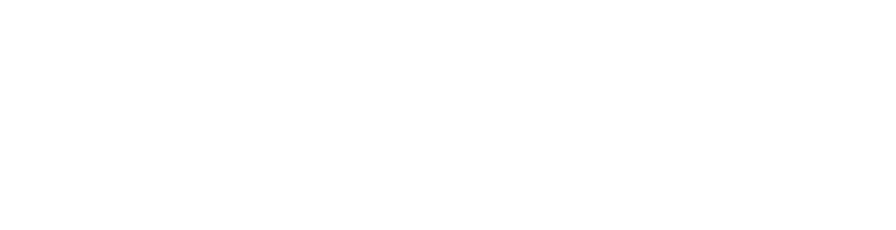 Devopte Logo
